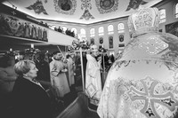 IMG_5341